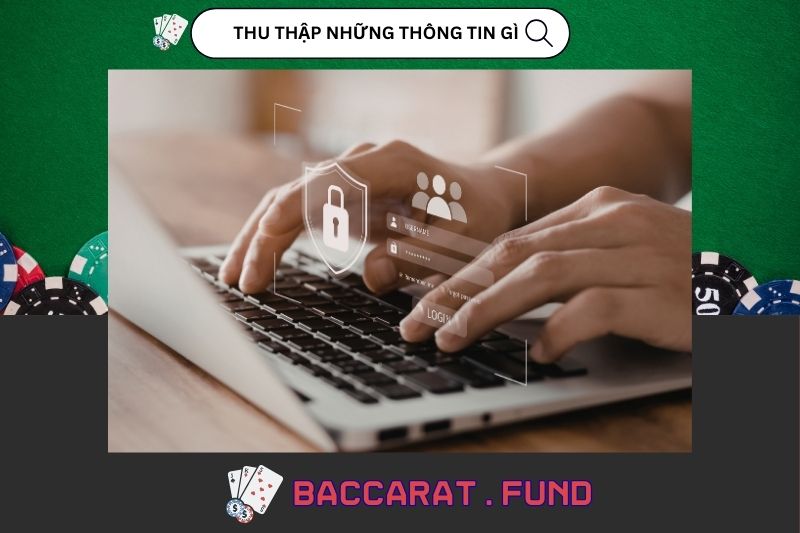 Chúng tôi thu thập những thông tin gì từ bạn?