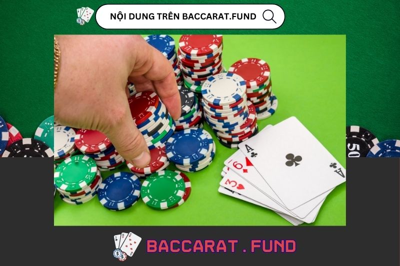Nội dung trên baccarat.fund có gì?